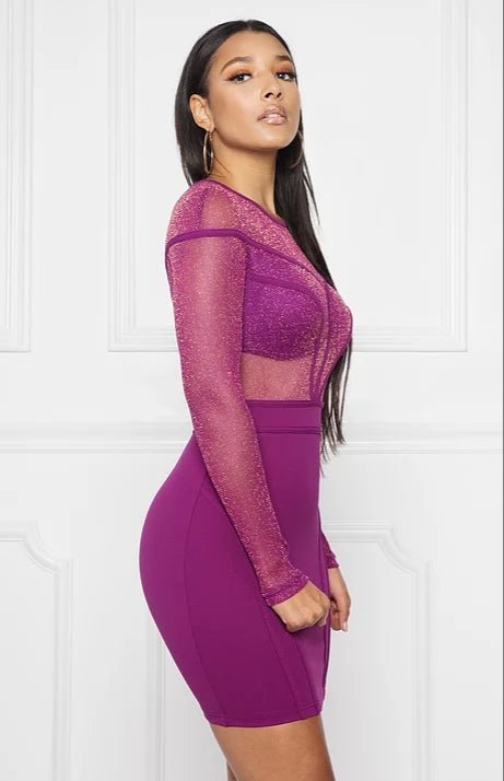 Glitter Mesh Longsleeve Binding Dress - Anew Couture